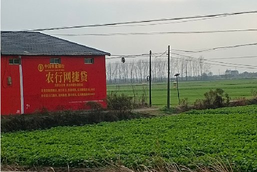  青田如何防止墙体广告褪色呢？