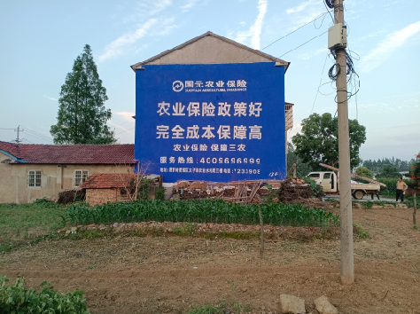 青田墙体广告的优劣势你知道吗?